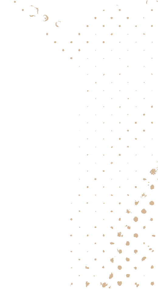 https://corporacioncultam.cl/wp-content/uploads/2021/04/floating_image_02.png