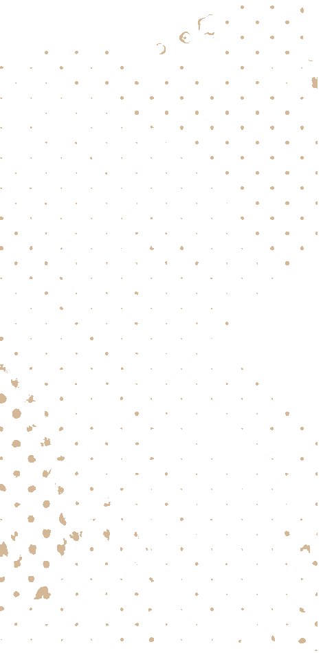 https://corporacioncultam.cl/wp-content/uploads/2021/04/floating_image_03.png